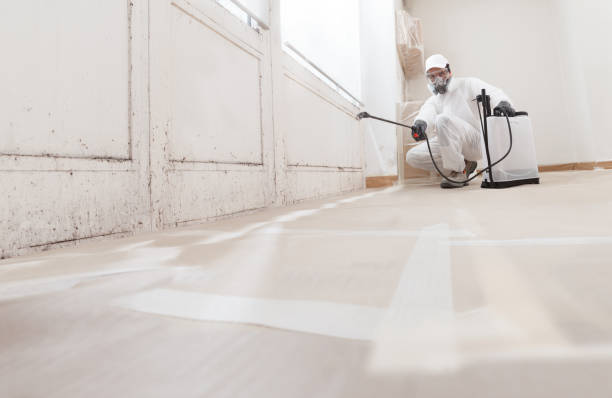 24/7 Emergency Attic Mold Remediation experts in Benson, AZ